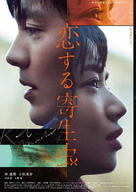 日韩电影钢与花海报